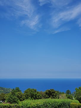 伊豆ぐらんぱる公園に投稿された画像（2020/6/17）