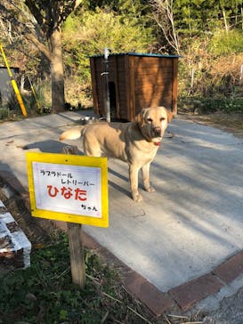 しろとり動物園に投稿された画像（2020/6/18）
