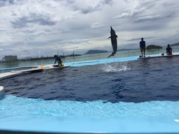 四国水族館に投稿された画像（2020/6/18）