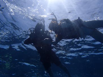 Sea World（シーワールド）に投稿された画像（2020/6/18）