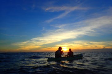 B-nature（ビーネイチャー）に投稿された画像（2020/6/19）