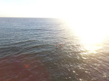 B-nature（ビーネイチャー）に投稿された画像（2020/6/19）