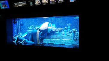 サンシャイン水族館に投稿された画像（2020/6/19）
