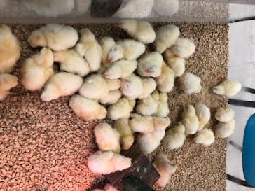 Moff animal world BIGHOPガーデンモール印西店に投稿された画像（2020/6/19）