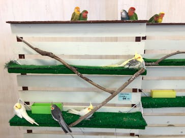 Moff animal world BIGHOPガーデンモール印西店に投稿された画像（2020/6/19）