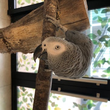 Moff animal world BIGHOPガーデンモール印西店に投稿された画像（2020/6/19）