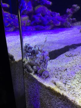 四国水族館に投稿された画像（2020/6/19）