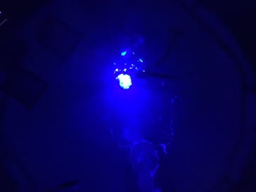 四国水族館に投稿された画像（2020/6/19）