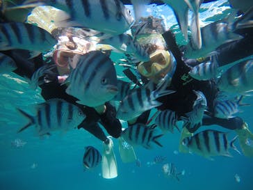 武藤潜水に投稿された画像（2020/6/19）