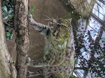 神戸どうぶつ王国に投稿された画像（2020/6/20）