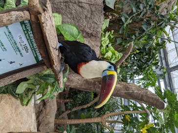 神戸どうぶつ王国に投稿された画像（2020/6/20）