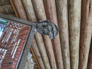 神戸どうぶつ王国に投稿された画像（2020/6/20）