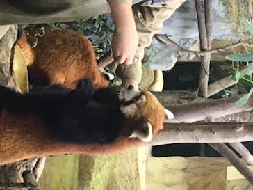 那須どうぶつ王国に投稿された画像（2020/6/20）