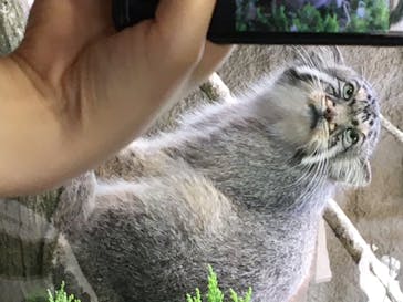 那須どうぶつ王国に投稿された画像（2020/6/20）