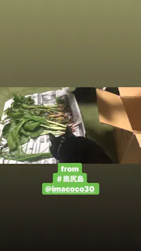 奥尻ゲストハウスimacocoに投稿された画像（2020/6/20）