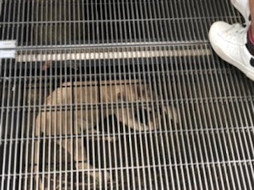 沖縄こどもの国に投稿された画像（2020/6/20）