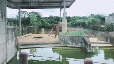 沖縄こどもの国に投稿された画像（2020/6/20）