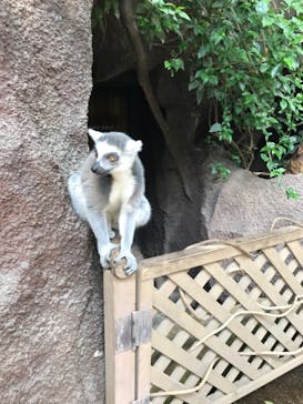 那須どうぶつ王国に投稿された画像（2020/6/20）