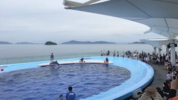 四国水族館に投稿された画像（2020/6/20）
