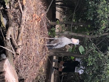 神戸どうぶつ王国に投稿された画像（2020/6/20）