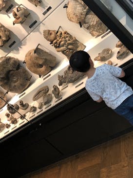 国立科学博物館に投稿された画像（2020/6/20）