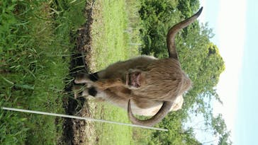 マザー牧場に投稿された画像（2020/6/20）