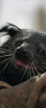 那須どうぶつ王国に投稿された画像（2020/6/20）