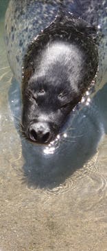 那須どうぶつ王国に投稿された画像（2020/6/20）