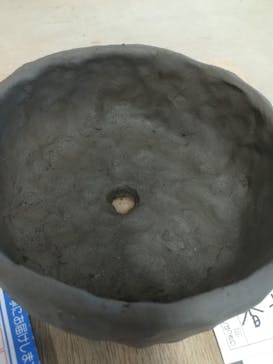 大小屋に投稿された画像（2020/6/20）