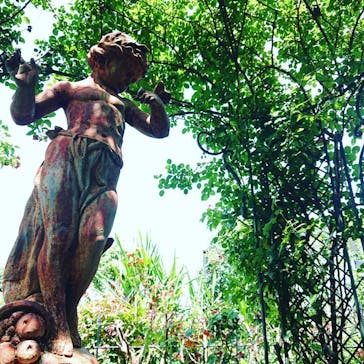 横浜イングリッシュガーデンに投稿された画像（2020/6/20）