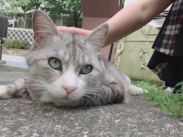 glass Art Blue moon（ガラスアートブルームーン）に投稿された画像（2020/6/20）