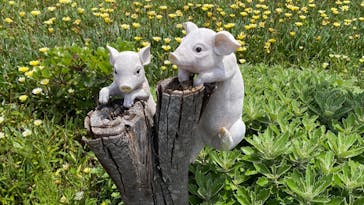 ニューヨークランプミュージアム＆フラワーガーデンに投稿された画像（2020/6/20）