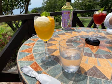 ニューヨークランプミュージアム＆フラワーガーデンに投稿された画像（2020/6/20）