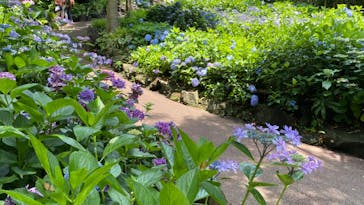 ニューヨークランプミュージアム＆フラワーガーデンに投稿された画像（2020/6/20）