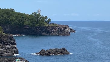 ニューヨークランプミュージアム＆フラワーガーデンに投稿された画像（2020/6/20）