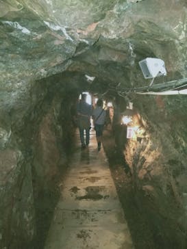 土肥金山に投稿された画像（2020/6/20）