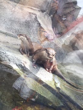 四国水族館に投稿された画像（2020/6/20）