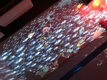 四国水族館に投稿された画像（2020/6/20）