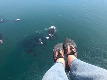 松島熱気球・パラグライダー体験に投稿された画像（2020/6/21）