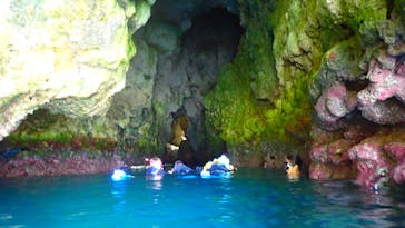 ダイビングショップ Sea Free（シーフリー）に投稿された画像（2020/6/21）