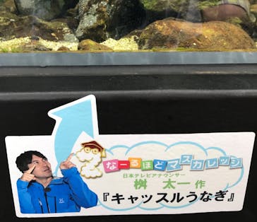 四国水族館に投稿された画像（2020/6/21）