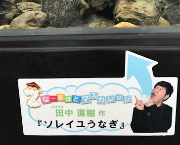 四国水族館に投稿された画像（2020/6/21）