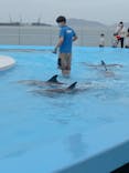 四国水族館に投稿された画像（2020/6/21）