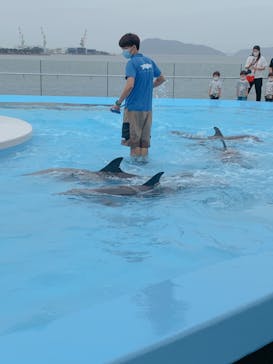 四国水族館に投稿された画像（2020/6/21）