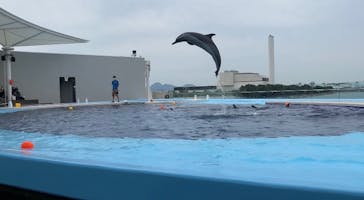 四国水族館に投稿された画像（2020/6/21）