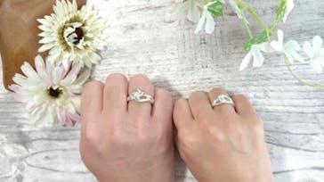 銀のイルカに投稿された画像（2020/6/21）