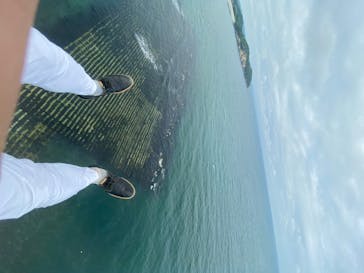 松島熱気球・パラグライダー体験に投稿された画像（2020/6/21）