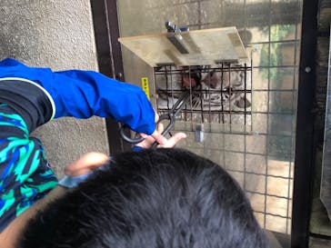 群馬サファリパークに投稿された画像（2020/6/21）