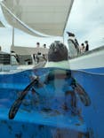 四国水族館に投稿された画像（2020/6/21）