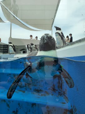 四国水族館に投稿された画像（2020/6/21）
